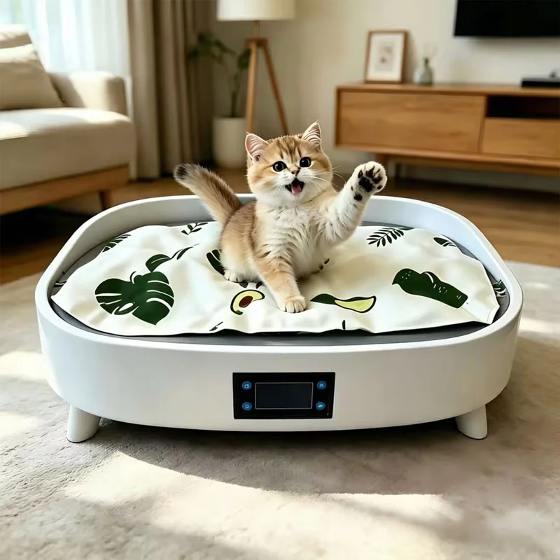 여름용 고양이 침대